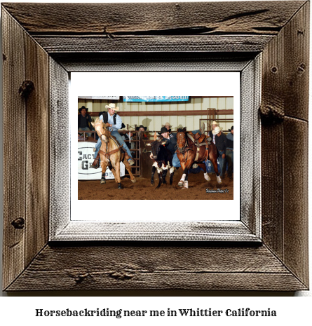 horseback riding near me in Whittier, California